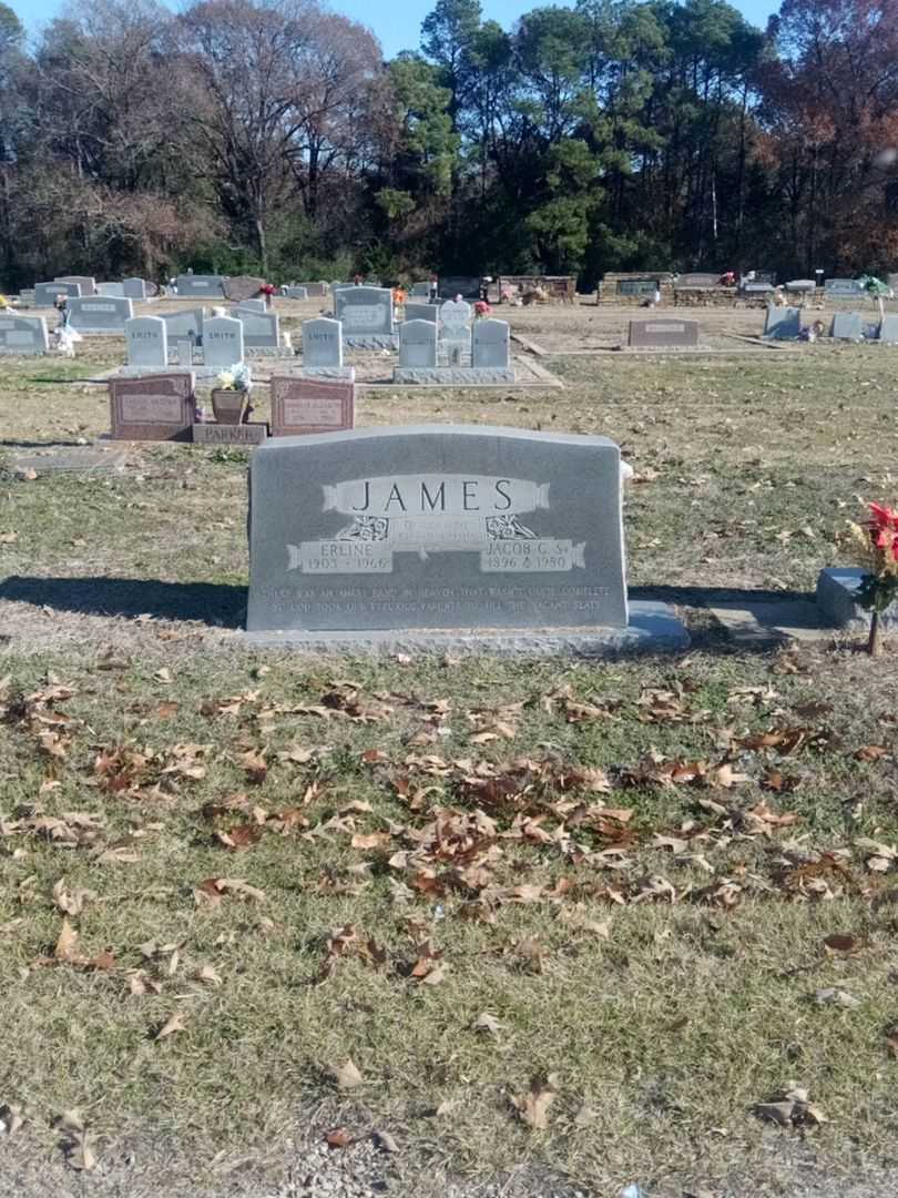 Erline James's grave. Photo 2