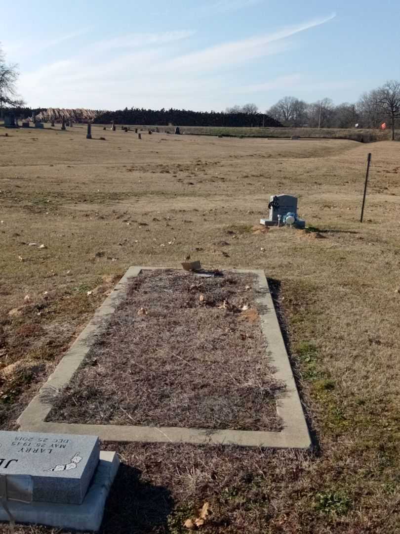 Gene V. Garrison's grave. Photo 2