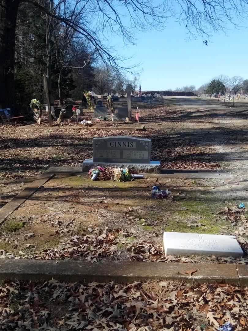 Georgia Lee Ginnis's grave. Photo 2