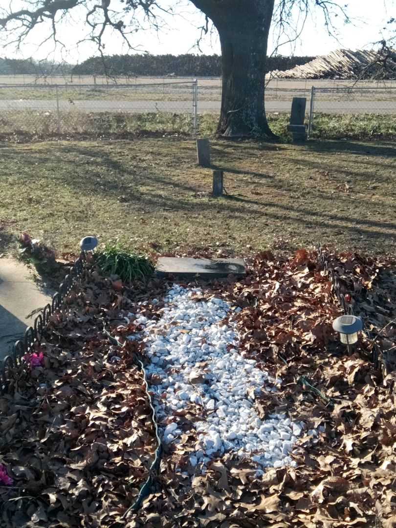 Francis York Johnson's grave. Photo 2