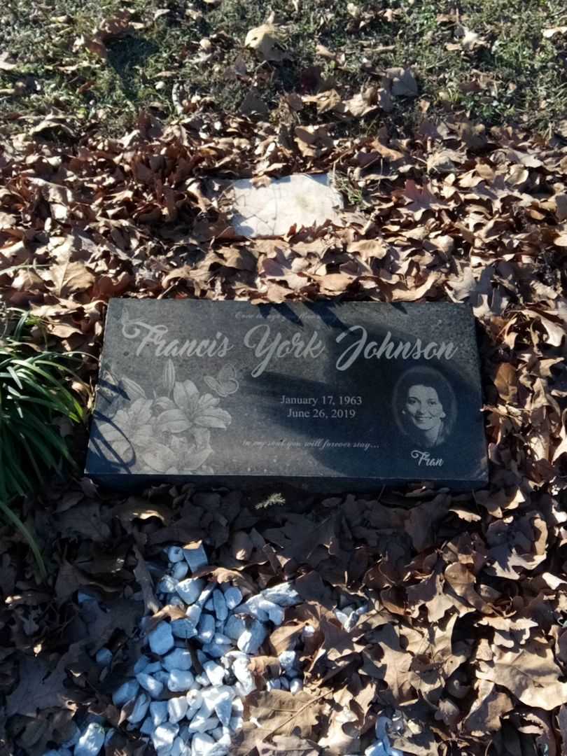 Francis York Johnson's grave. Photo 1