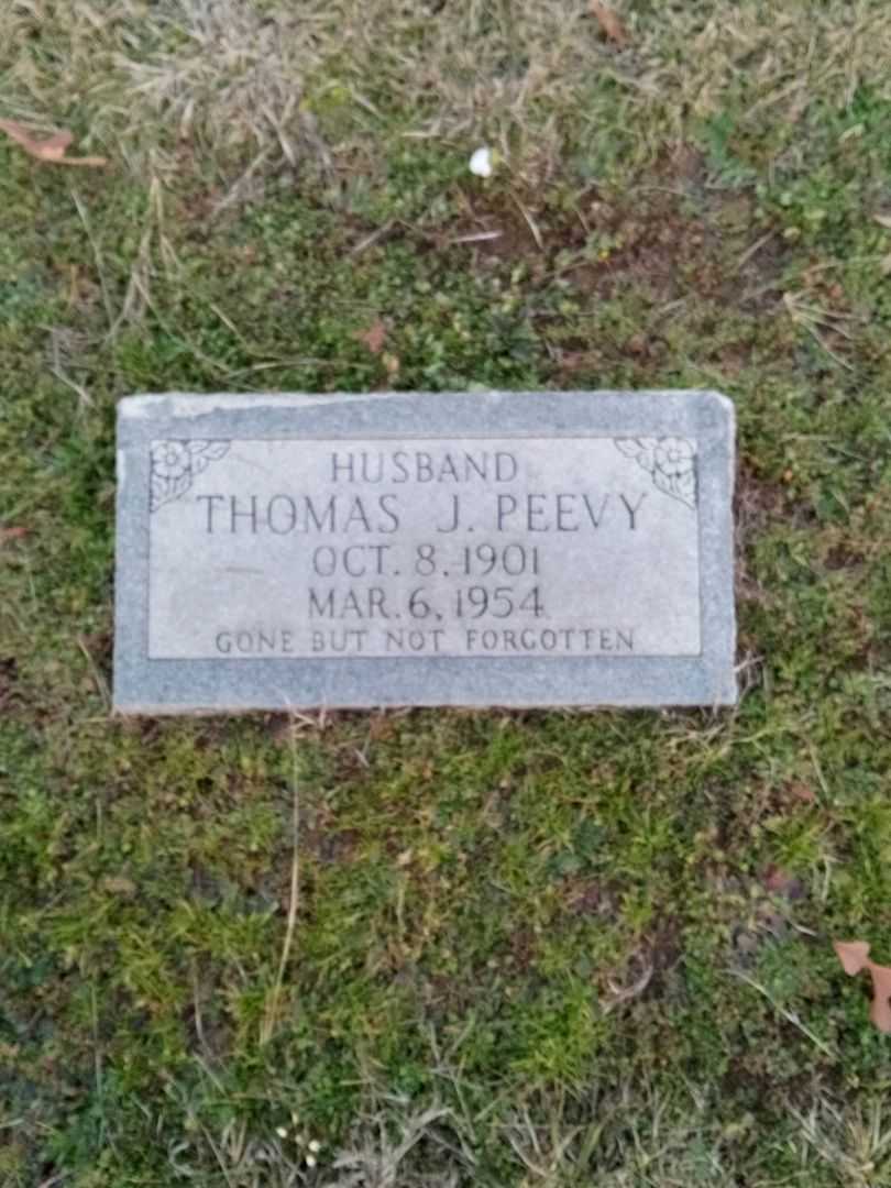 Thomas J. Peevy's grave. Photo 1