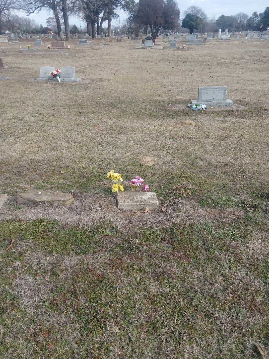 Earnest Lee Nation's grave. Photo 2