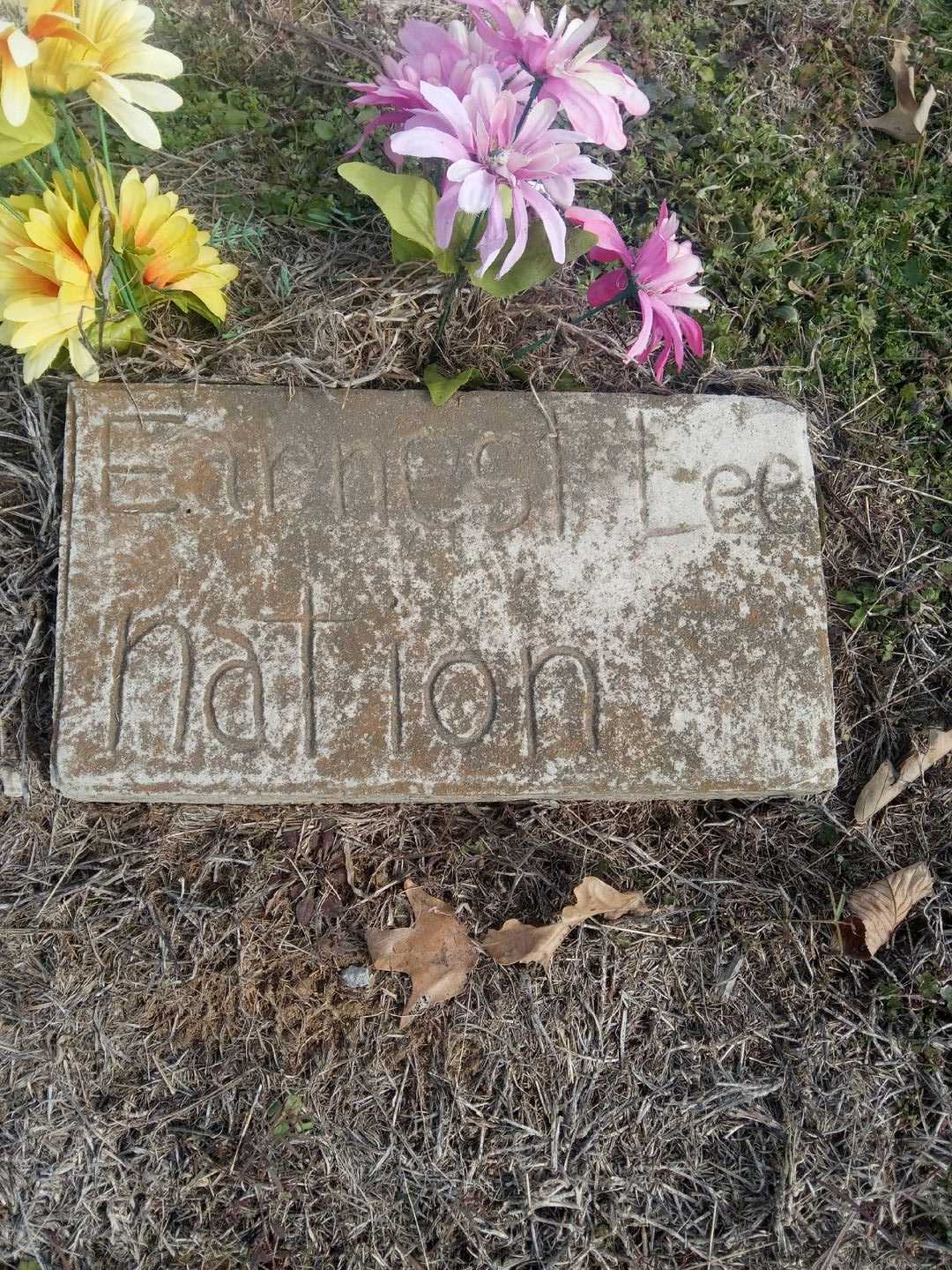 Earnest Lee Nation's grave. Photo 1