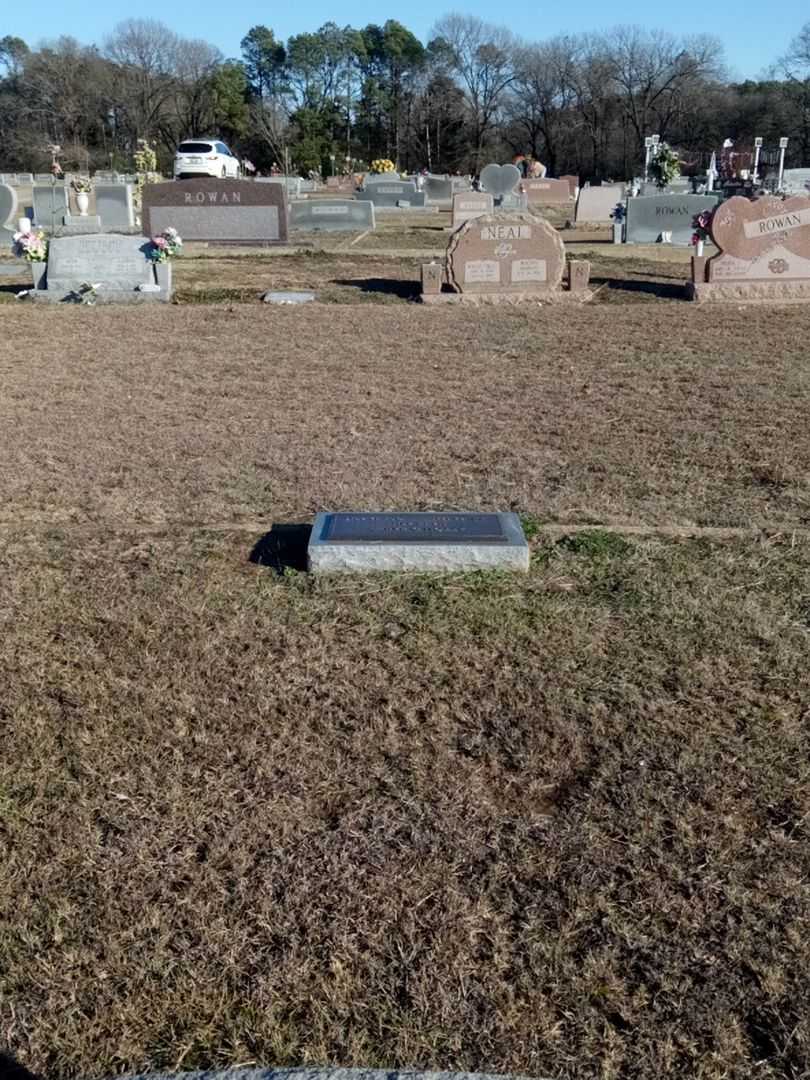 Afton D. Bailey's grave. Photo 2