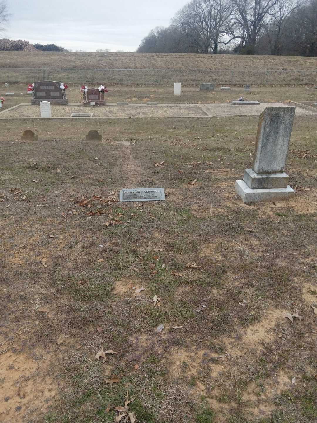 Mary Jo Caldwell's grave. Photo 2