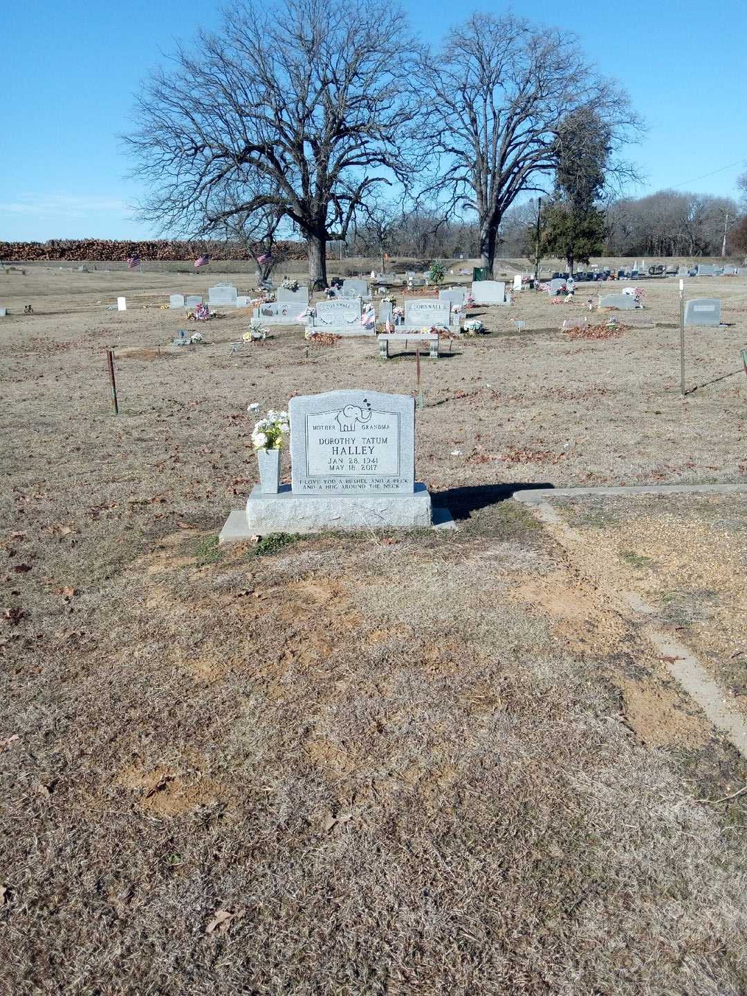 Dorothy Tatum Halley's grave. Photo 2