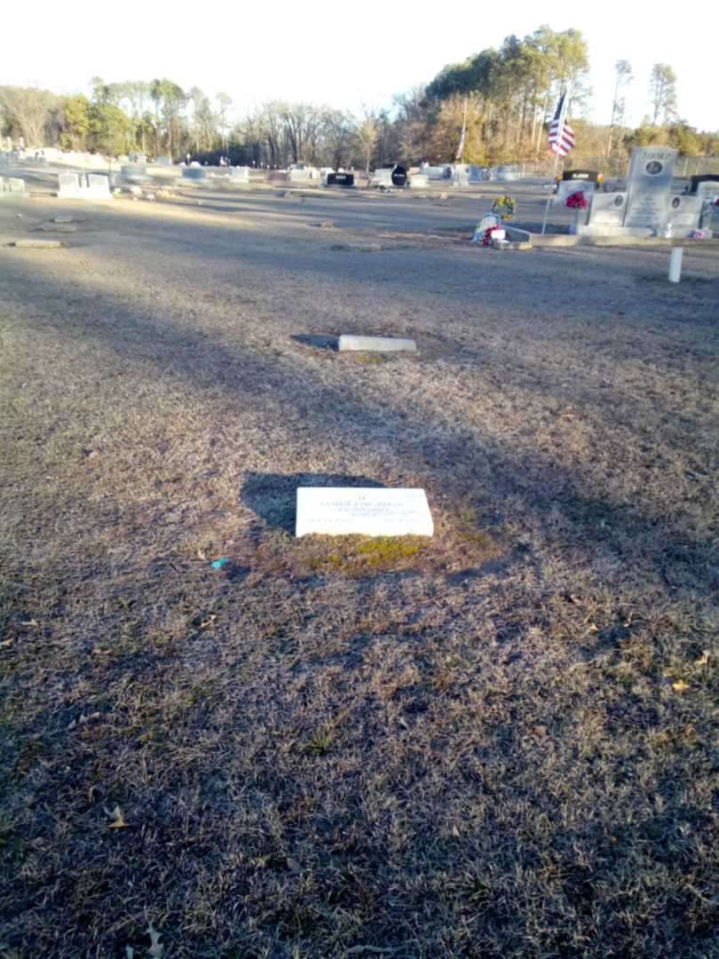 Basil Gene Payne's grave. Photo 2