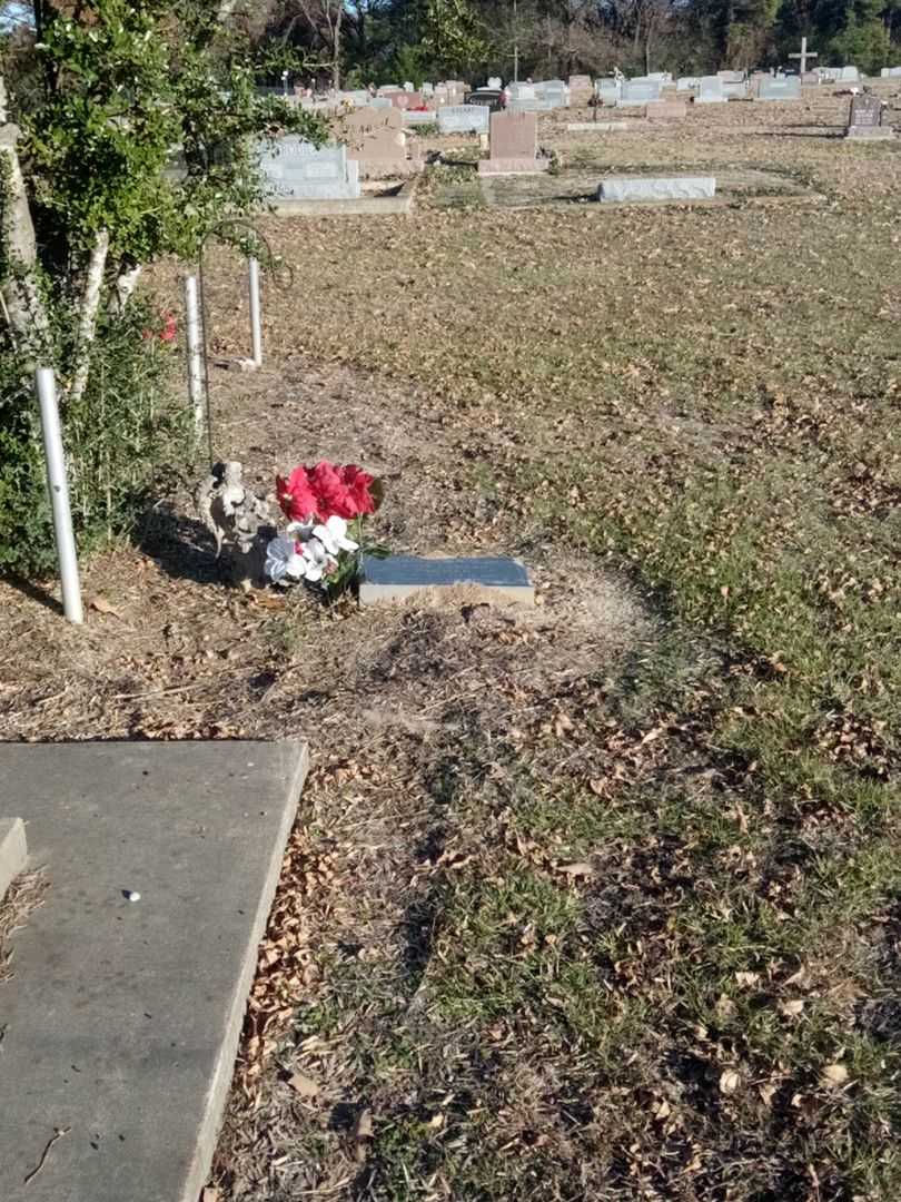 James Edward Parmer's grave. Photo 2