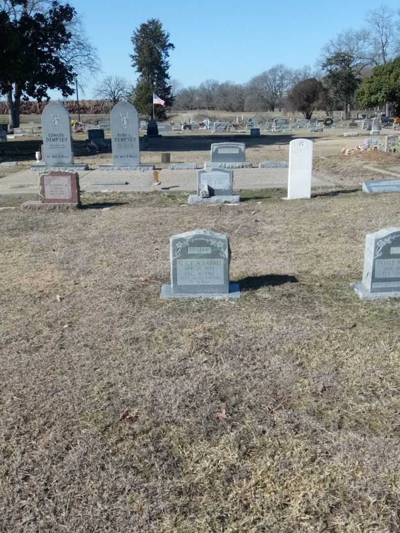 Alice A. Farris's grave. Photo 2