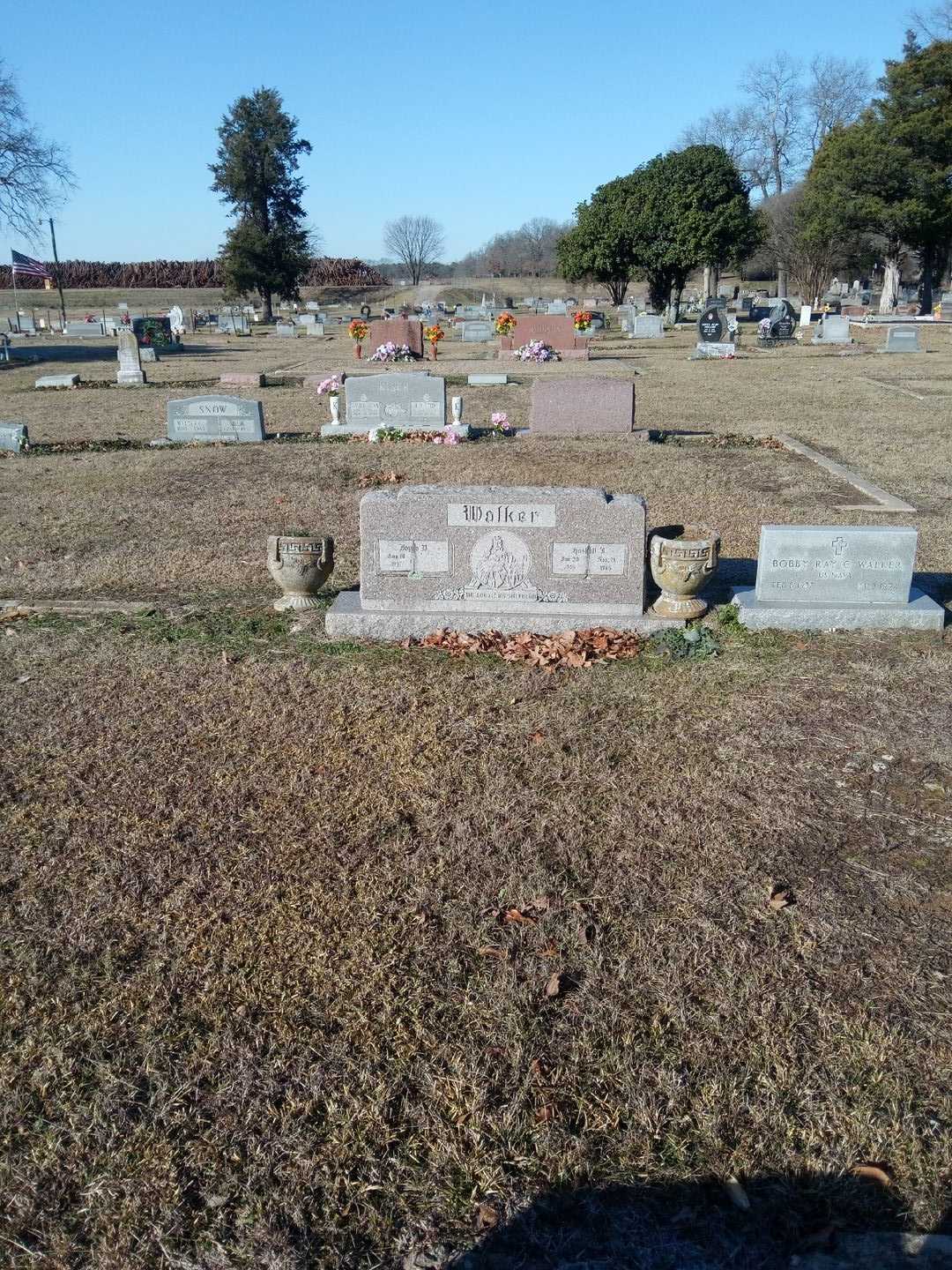 Haskell T. Walker's grave. Photo 2