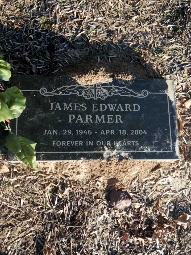 James Edward Parmer's grave. Photo 1