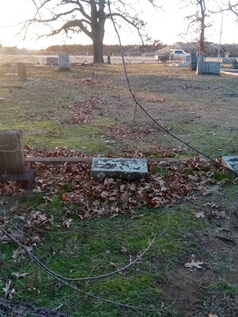 Harriet Ellen Velvin's grave. Photo 2
