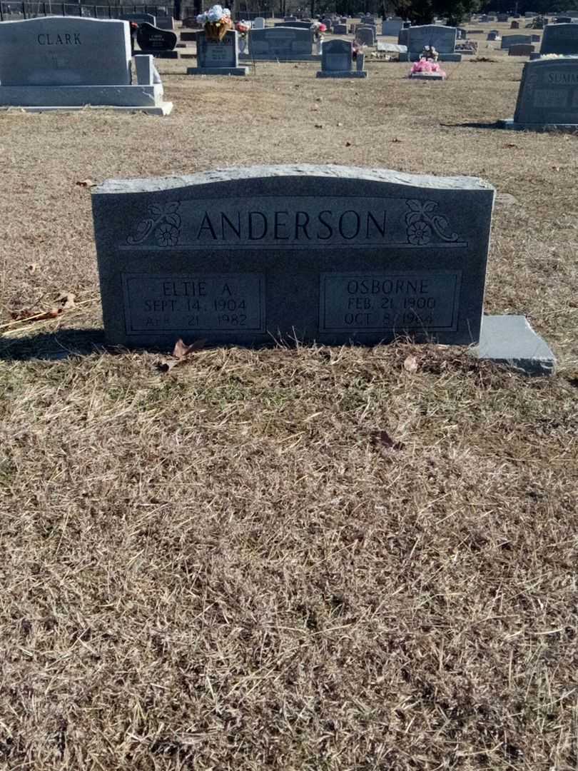 Osborne I. Anderson's grave. Photo 1