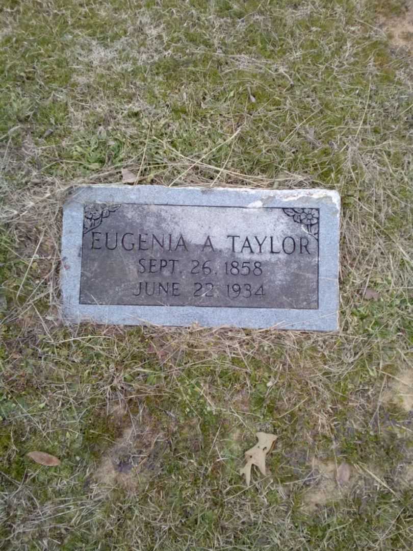Eugenia A. Taylor's grave. Photo 1