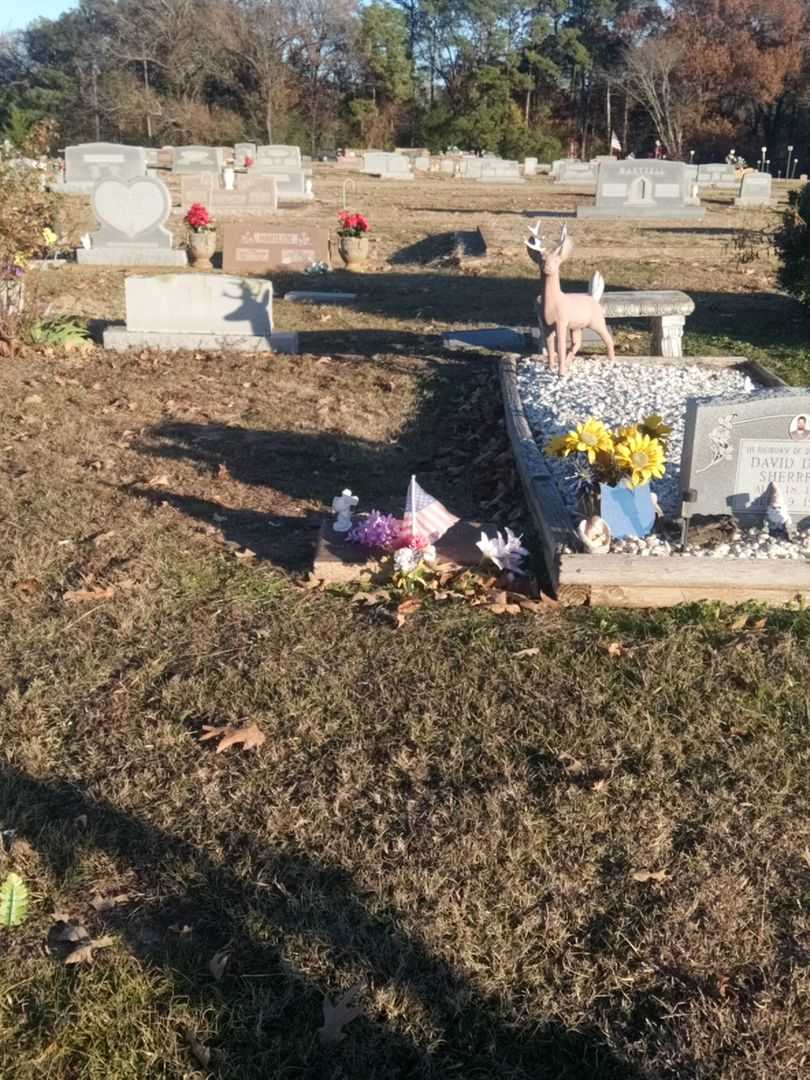 Belinda Rose Cain's grave. Photo 2