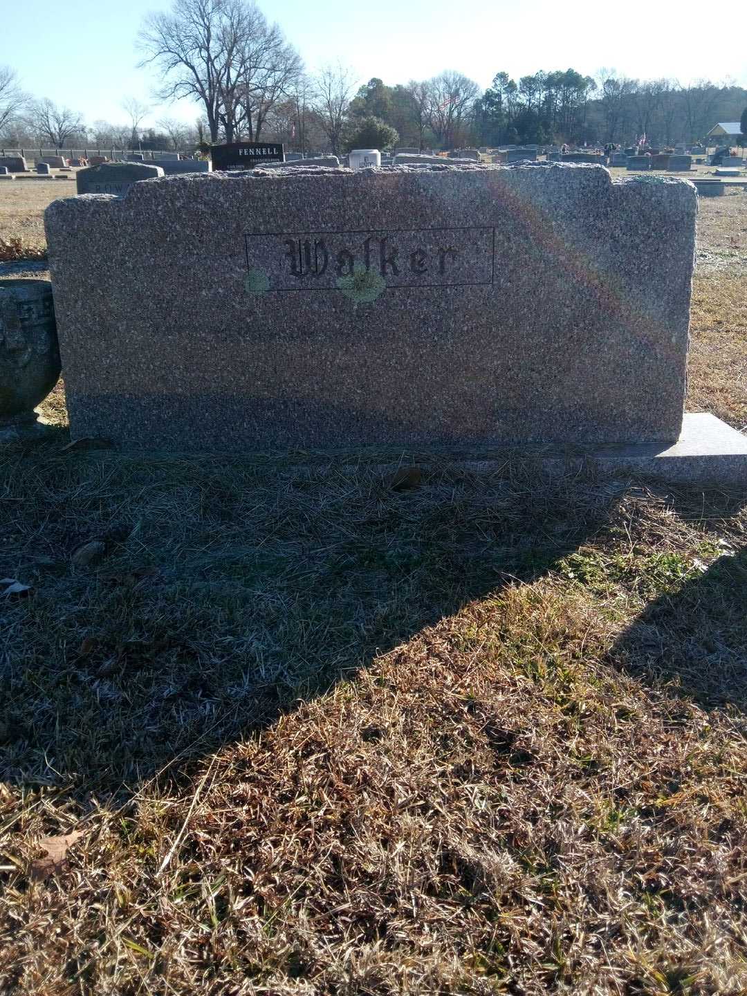 Haskell T. Walker's grave. Photo 3