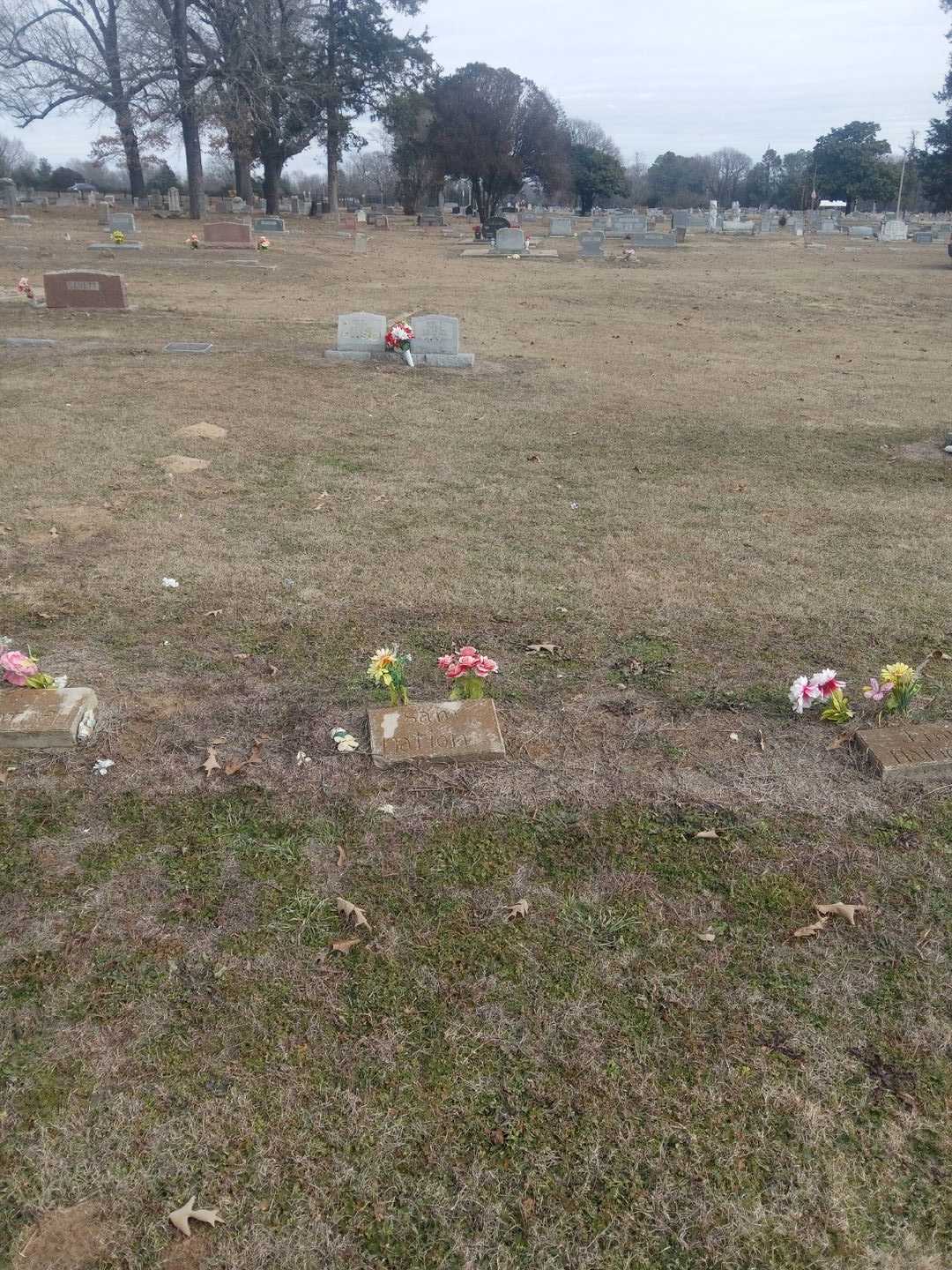 Sam Nation's grave. Photo 2