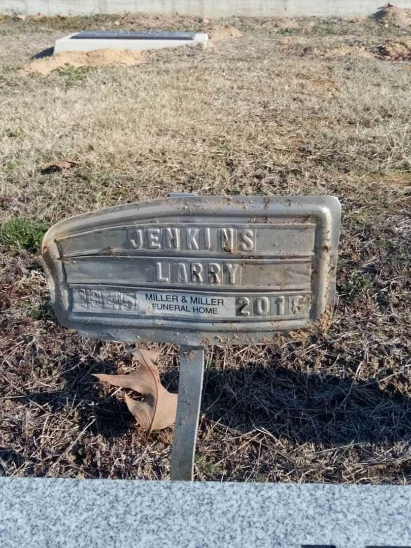 Larry Dale Jenkins's grave. Photo 4