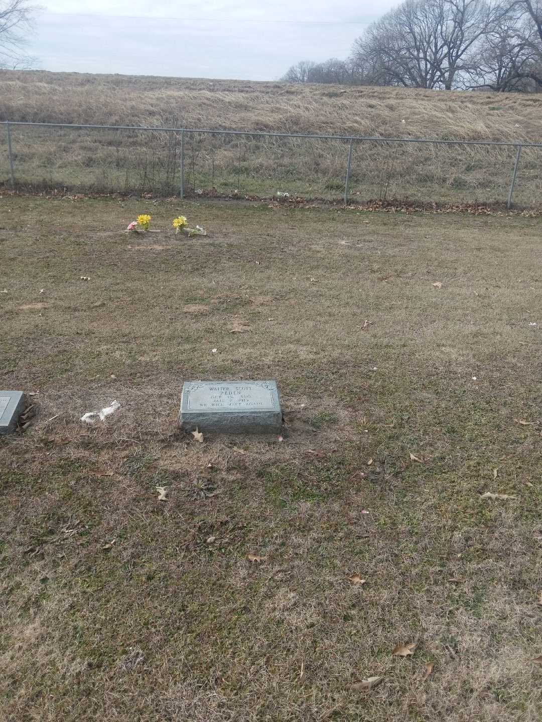 Walter Scott Peden's grave. Photo 2