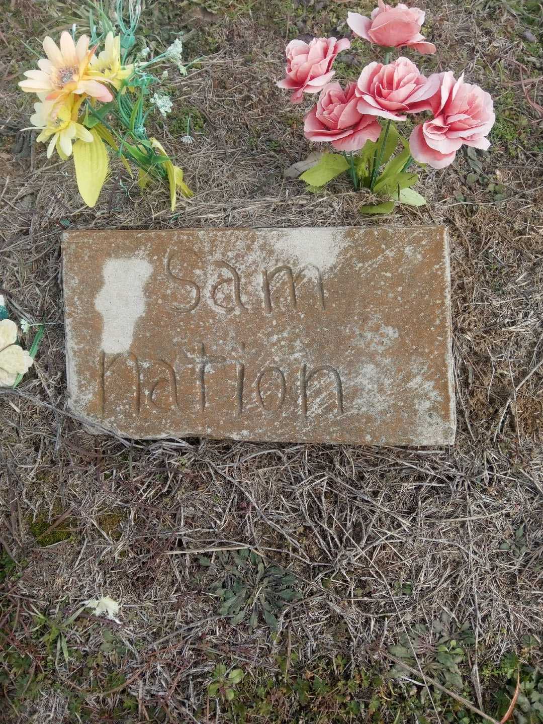 Sam Nation's grave. Photo 1