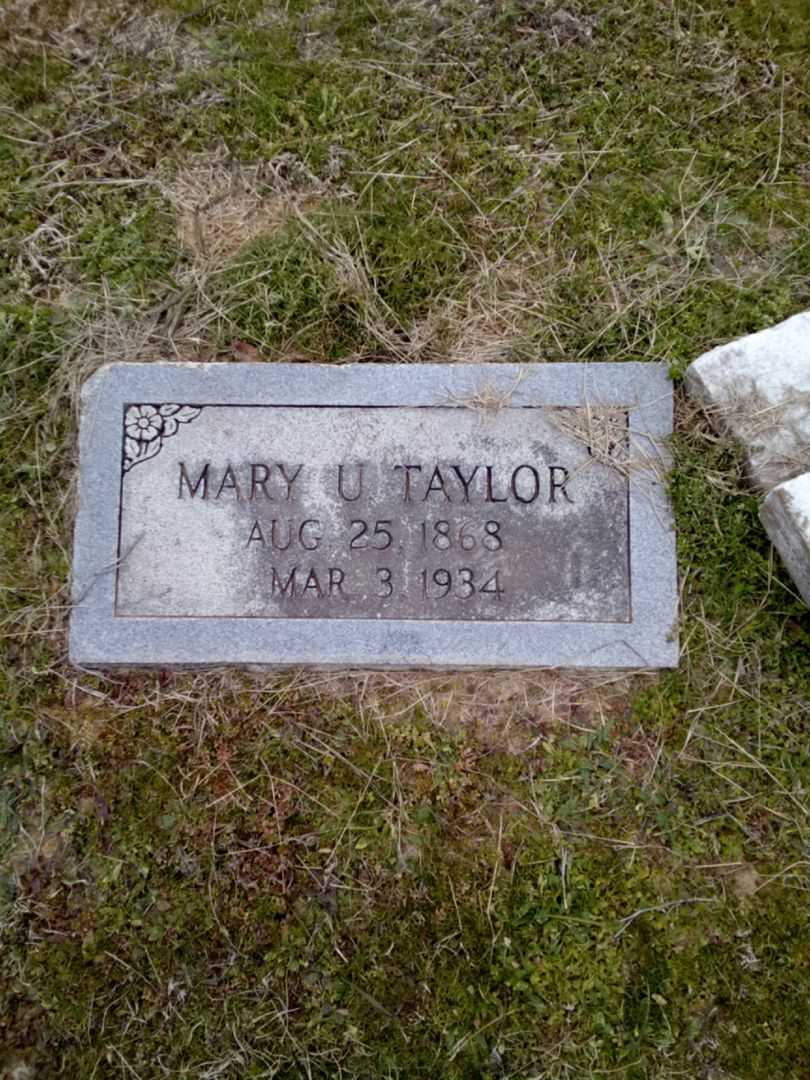 Mary U. Taylor's grave. Photo 1