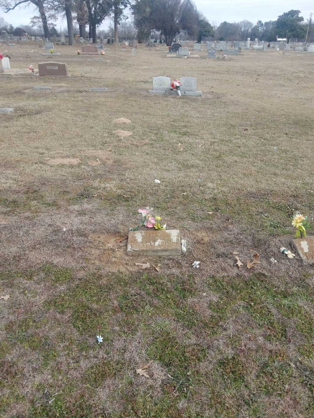 Ellen Nation Cantrell's grave. Photo 2