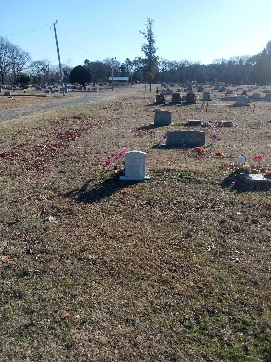 Patricia Ann Imoe's grave. Photo 2