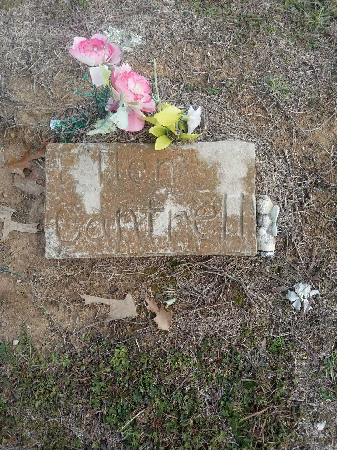 Ellen Nation Cantrell's grave. Photo 1