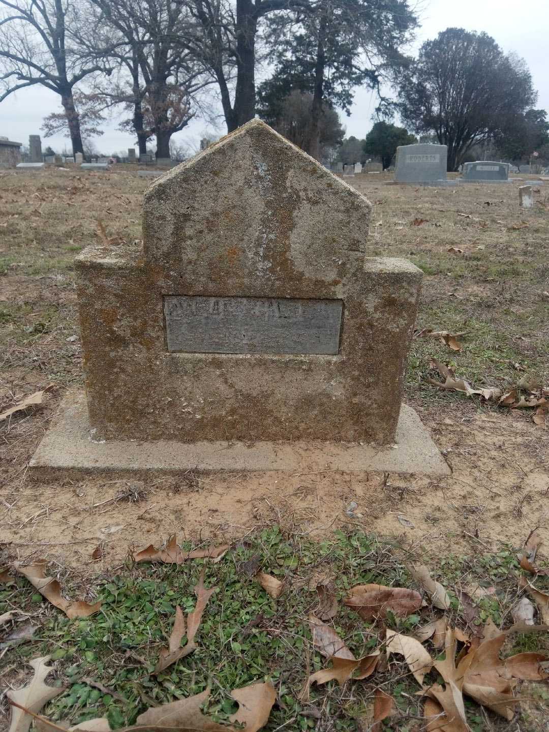 M. Caldwell's grave. Photo 1