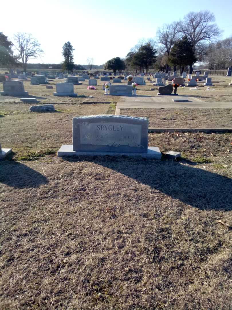 Jessie Land Srygley's grave. Photo 2