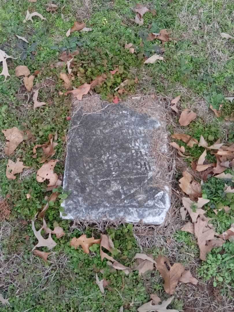 E. R.'s grave. Photo 3