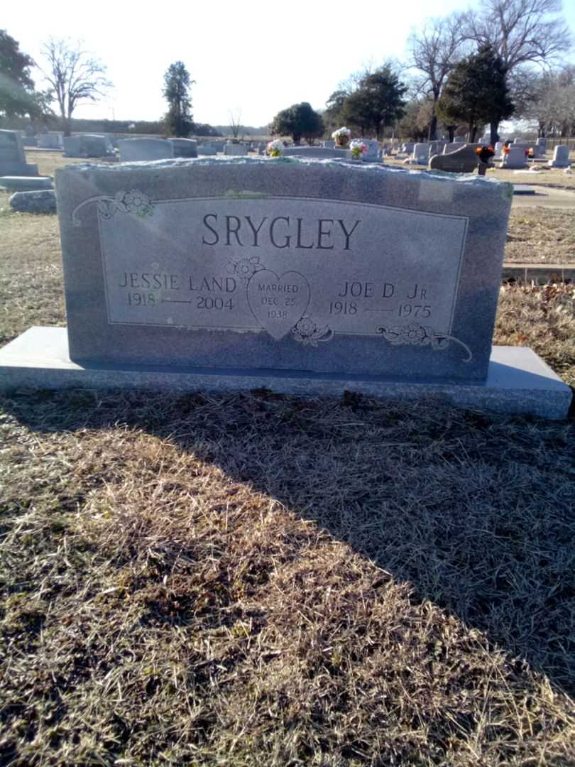 Jessie Land Srygley's grave. Photo 1
