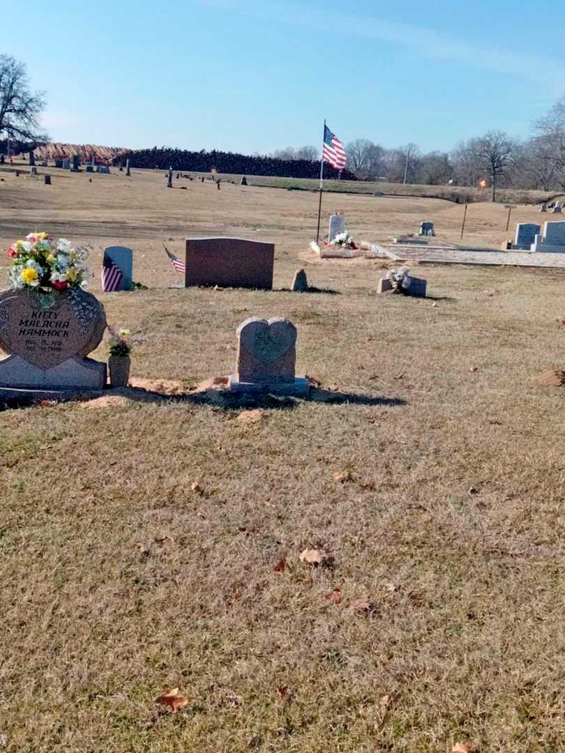 Dusty Joe Palmer's grave. Photo 2