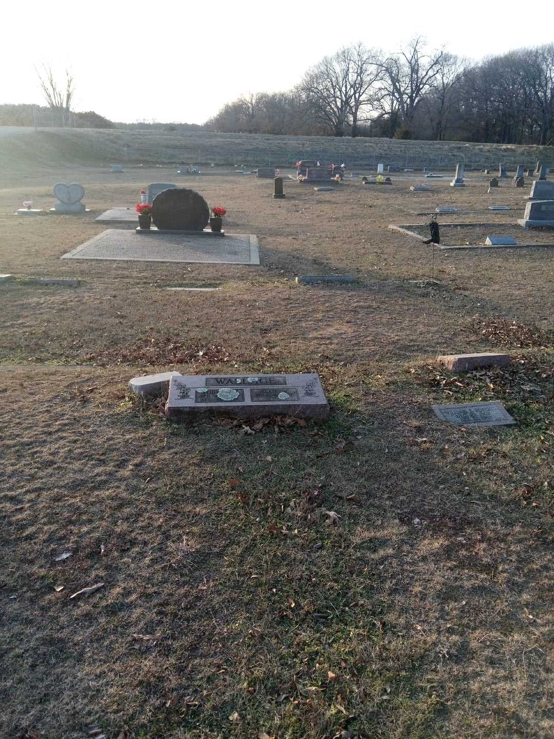 Robert J. Wallace's grave. Photo 2
