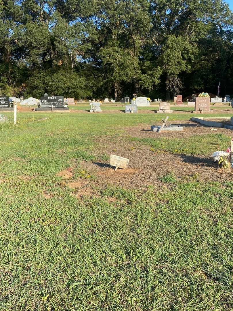 Sallie Taylor's grave. Photo 2