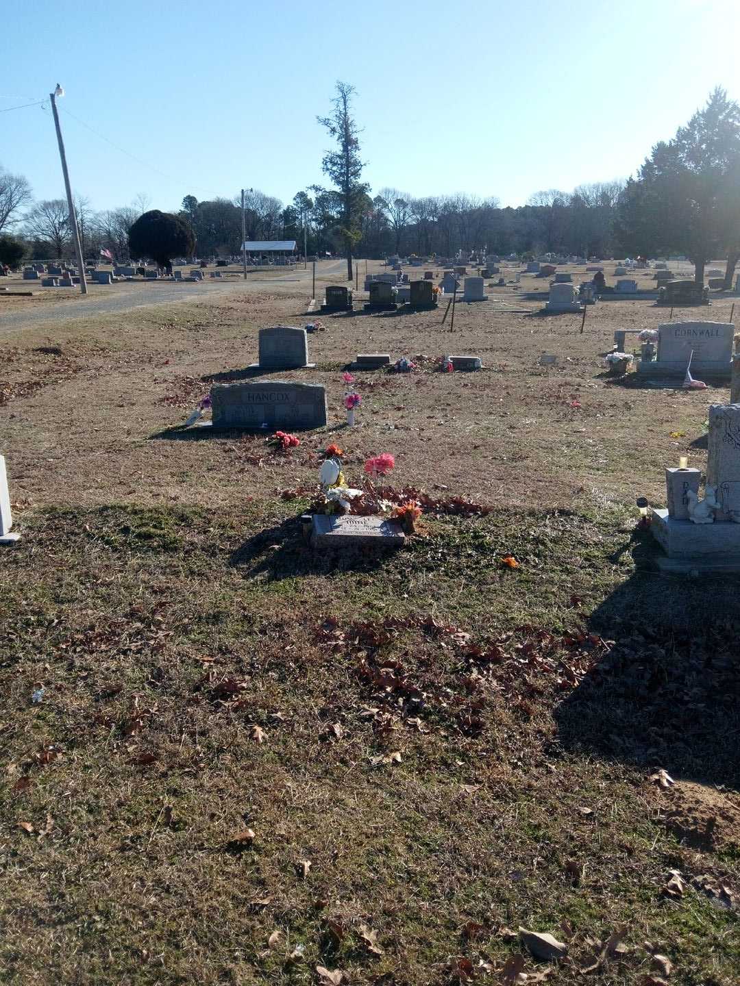 Roy Lee Imoe's grave. Photo 2