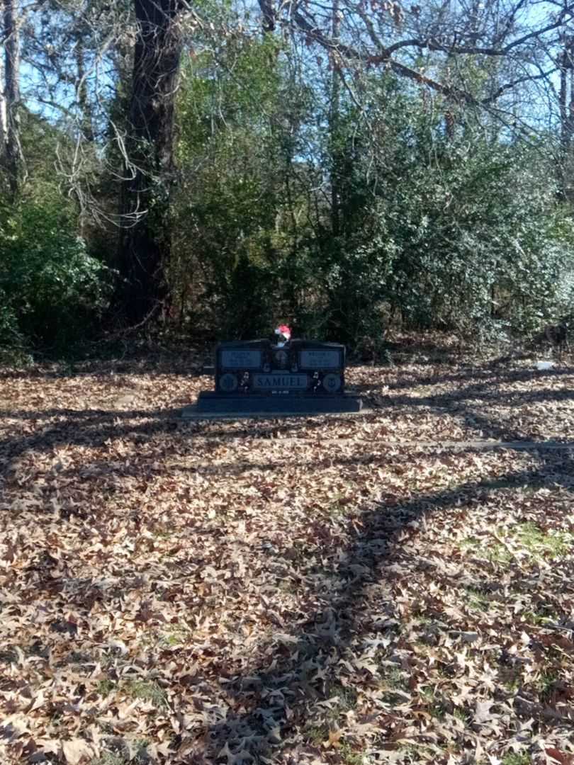 William James "Sam" Samuel's grave. Photo 2