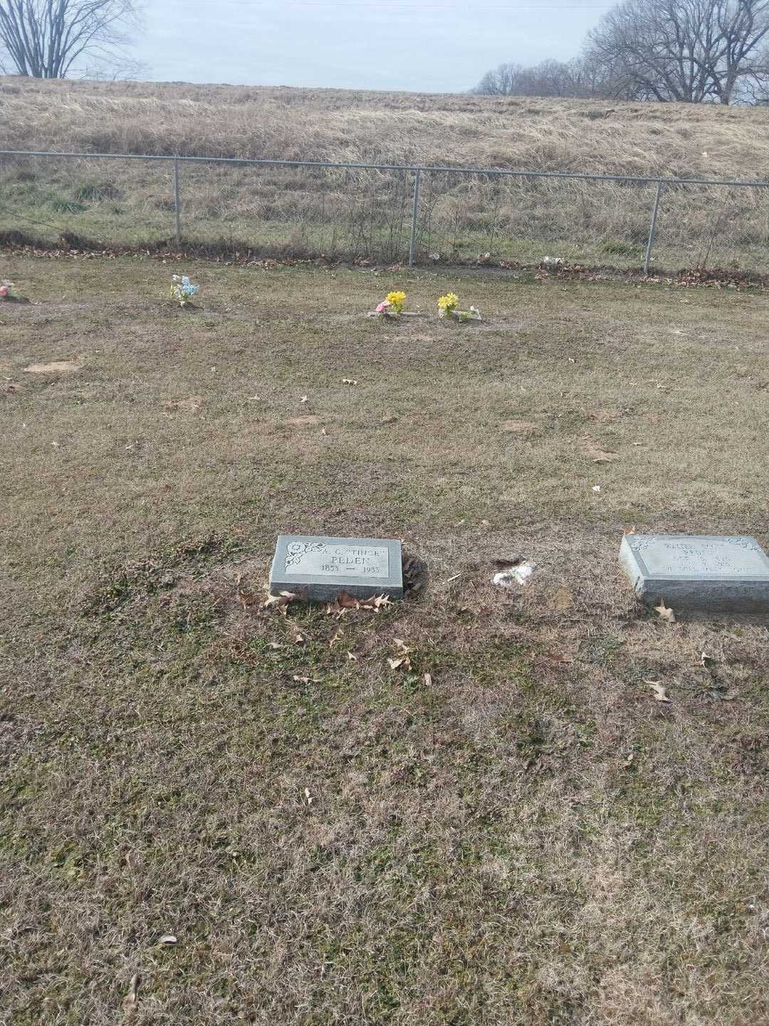A. C. "Tince" Peden's grave. Photo 2