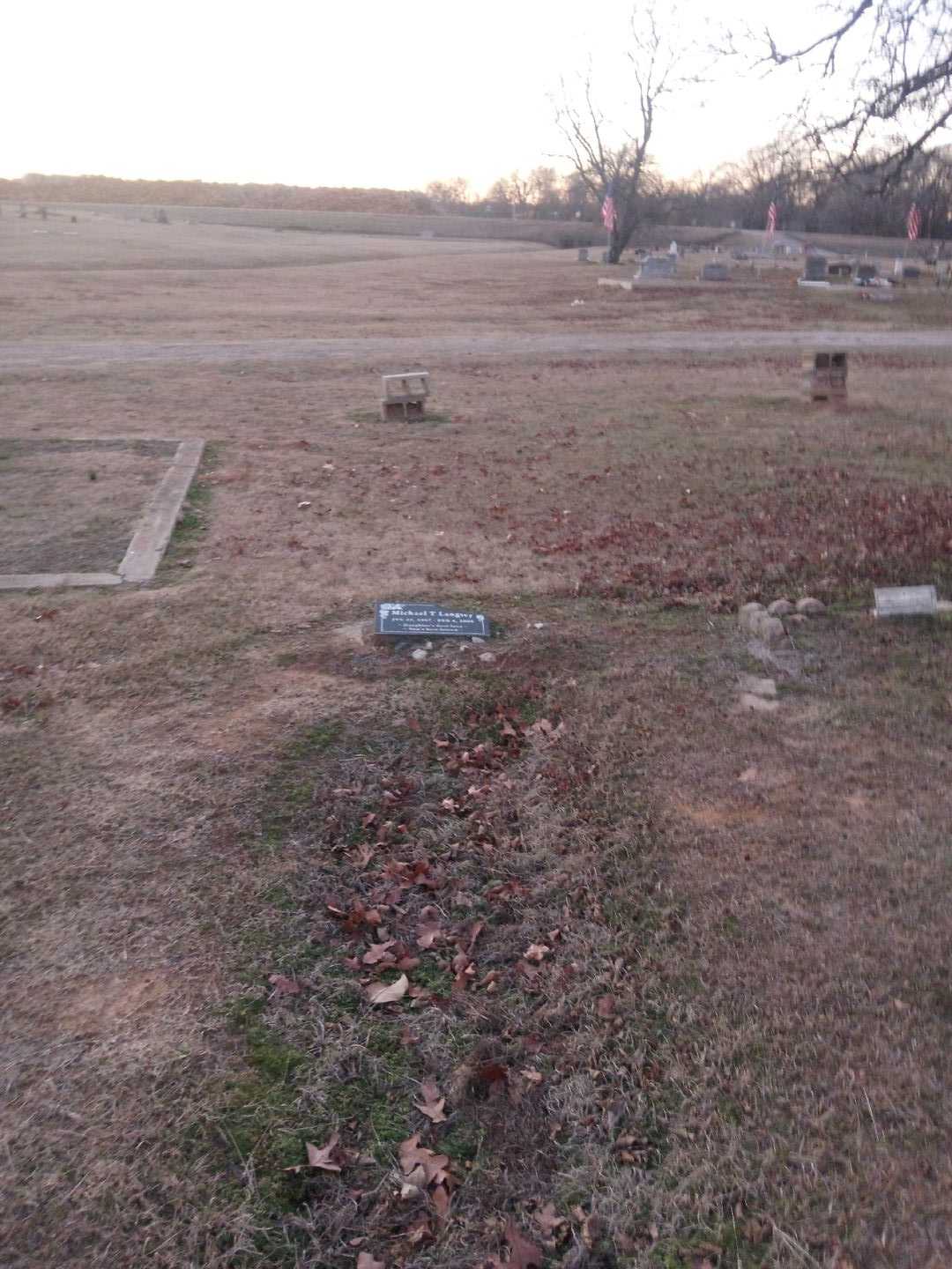 Michael T. Langley's grave. Photo 2