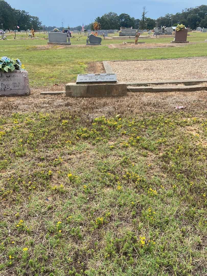 William E. Echols's grave. Photo 2