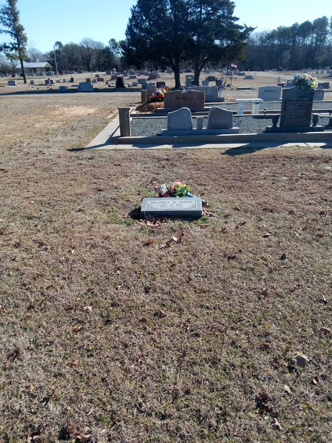 Delores G. David's grave. Photo 2