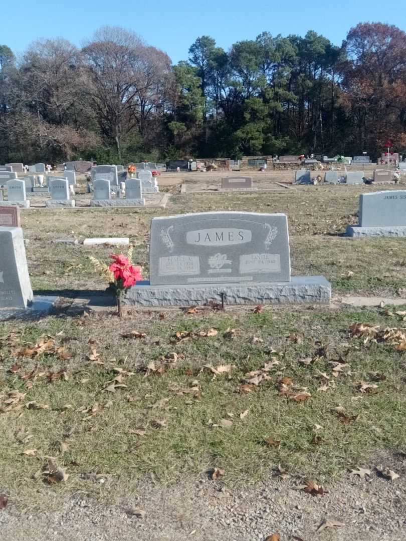 Fenley A. James's grave. Photo 2
