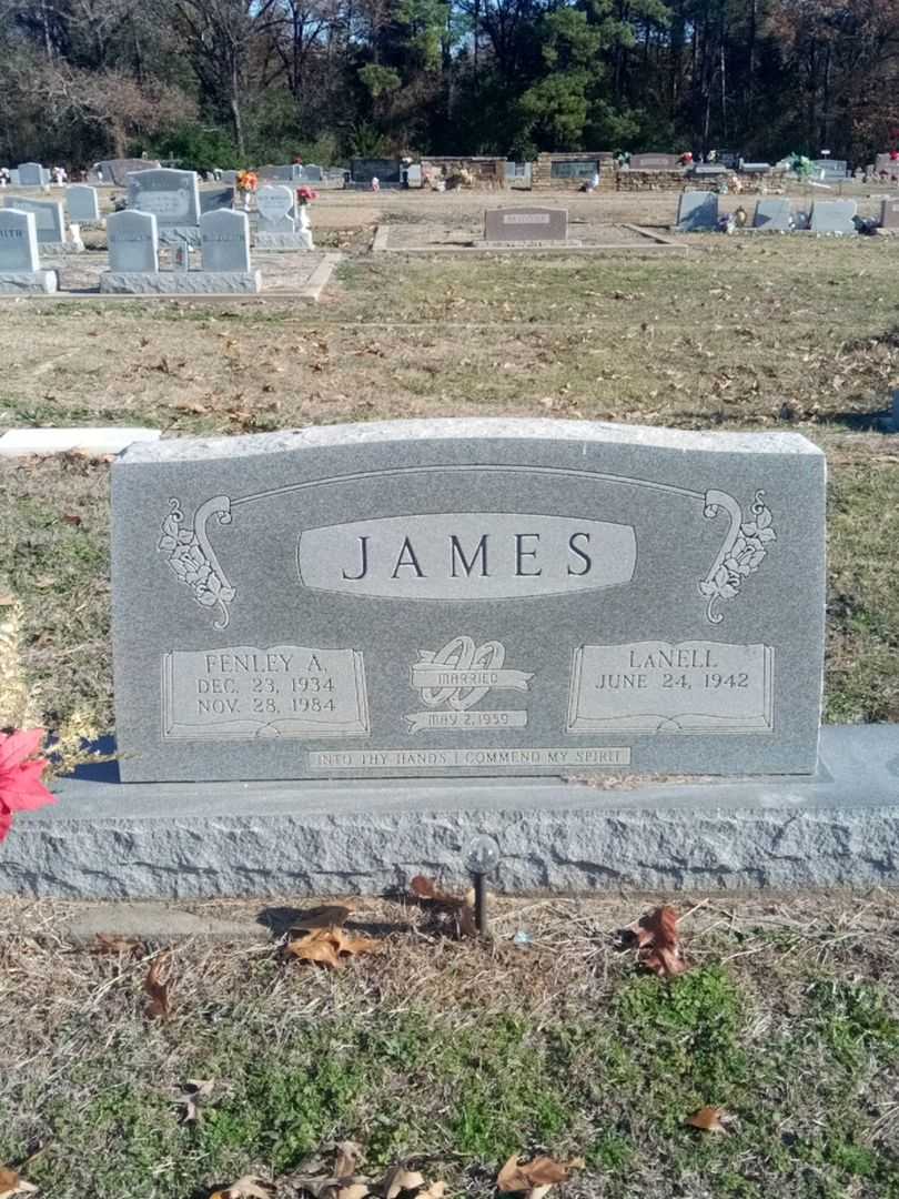 Fenley A. James's grave. Photo 1