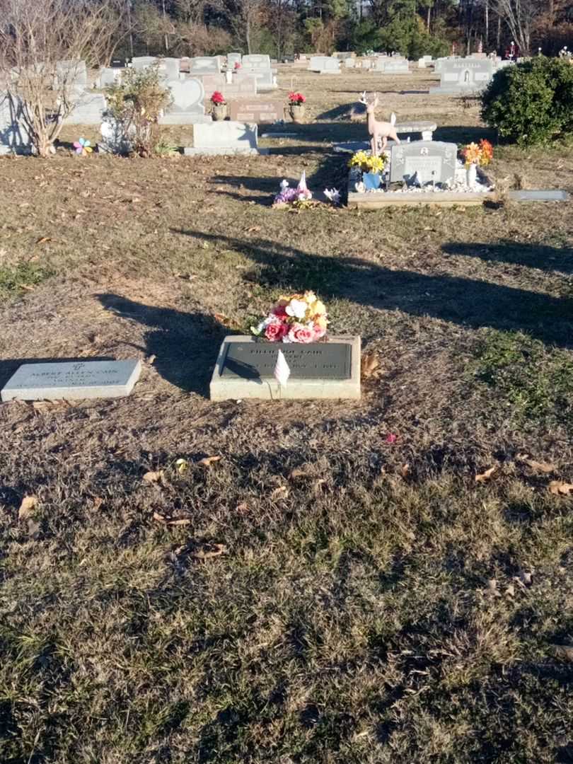 Billie Joe Cain's grave. Photo 2
