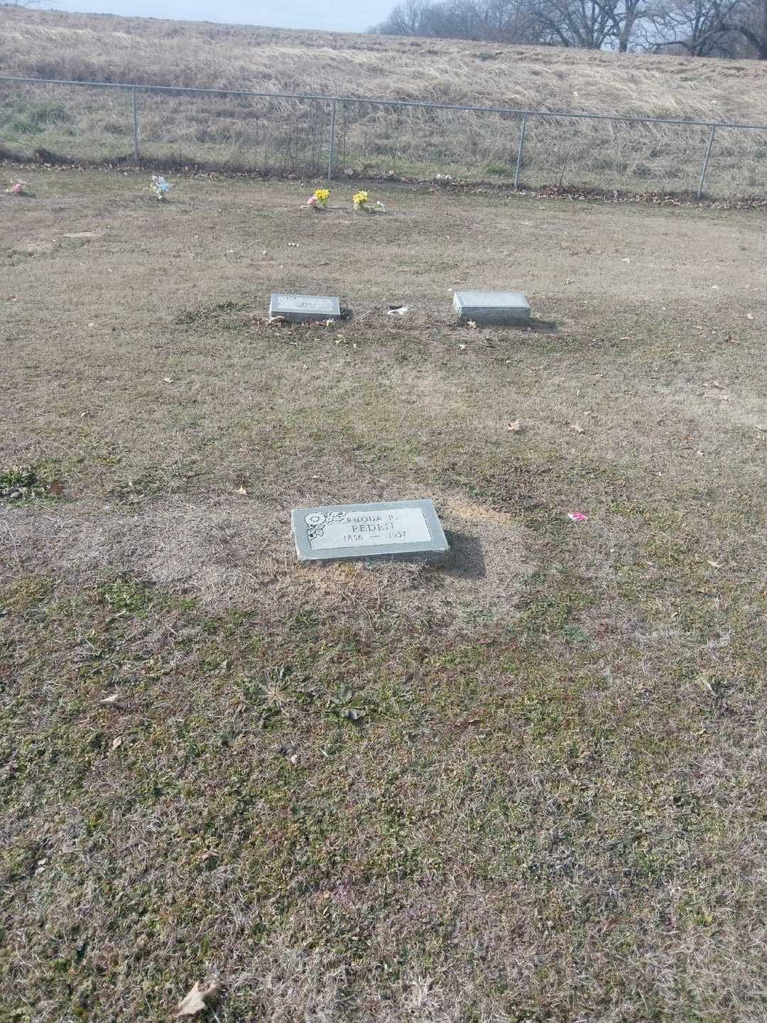 Rhoda R. Peden's grave. Photo 2