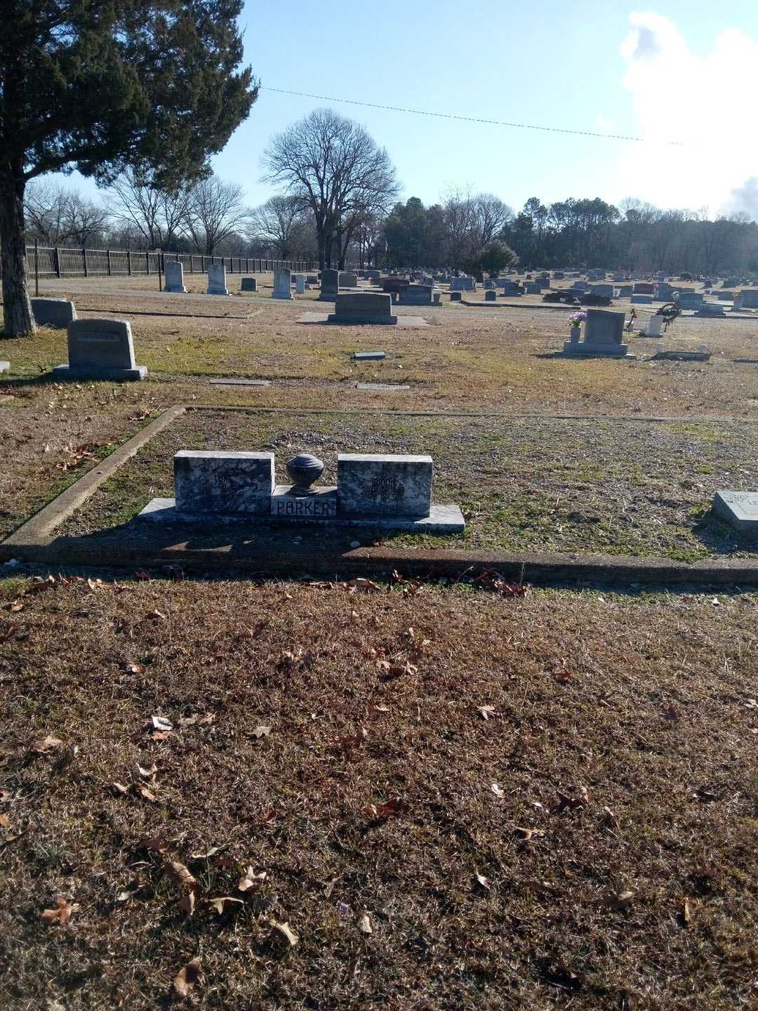 Minnie Parker's grave. Photo 2