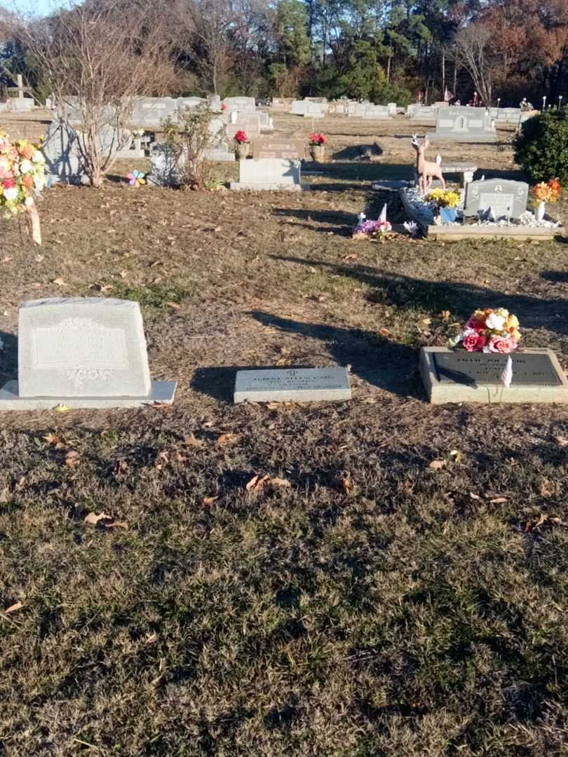 Albert Allen Cain's grave. Photo 2