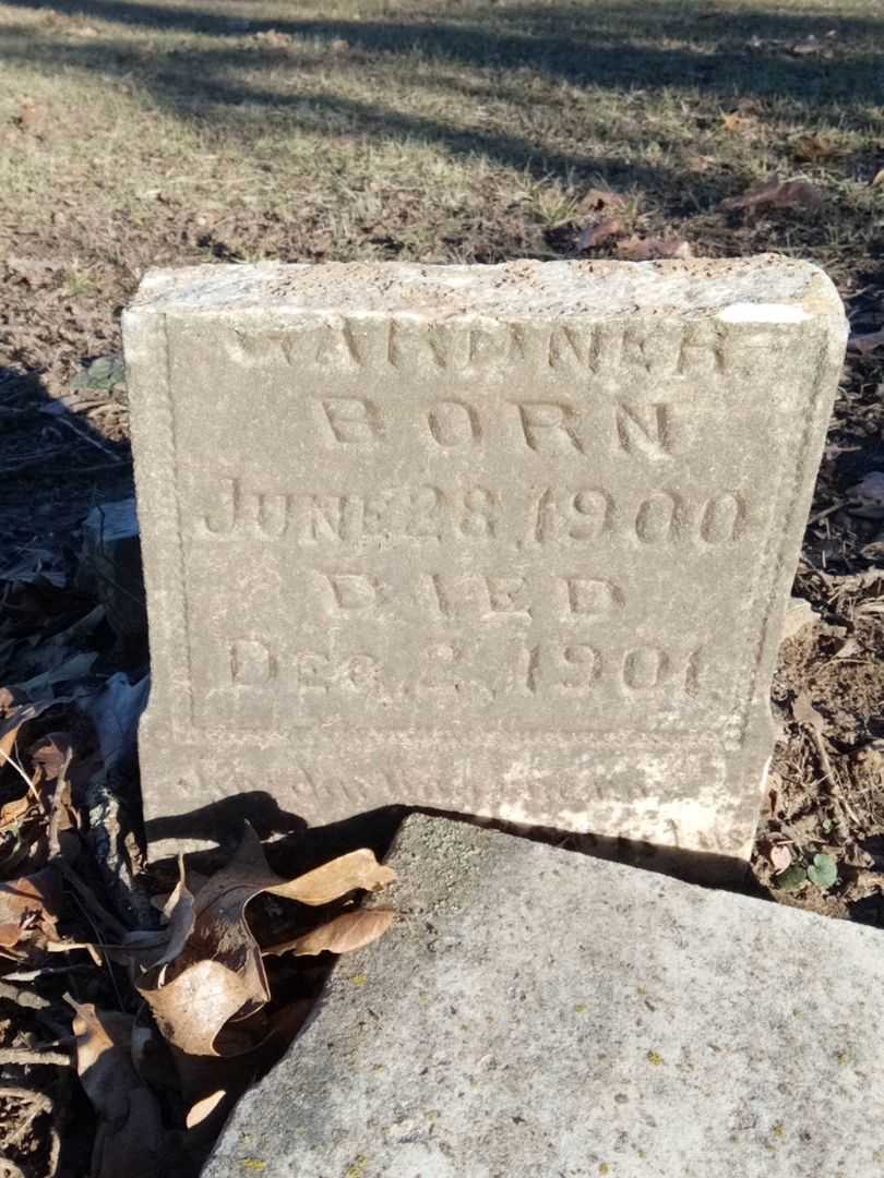 William J. Gardner's grave. Photo 1