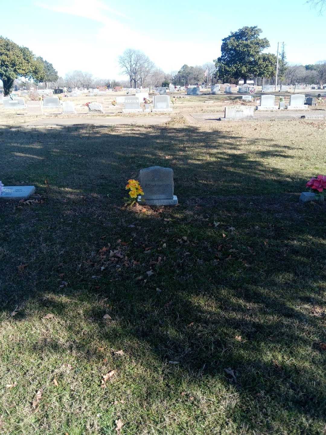 Audie Altenbaumer's grave. Photo 2